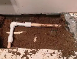 铁门关测漏水哪家好