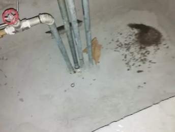 铁门关卫生间测漏水价格明细