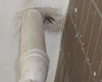 铁门关漏水检测哪家好